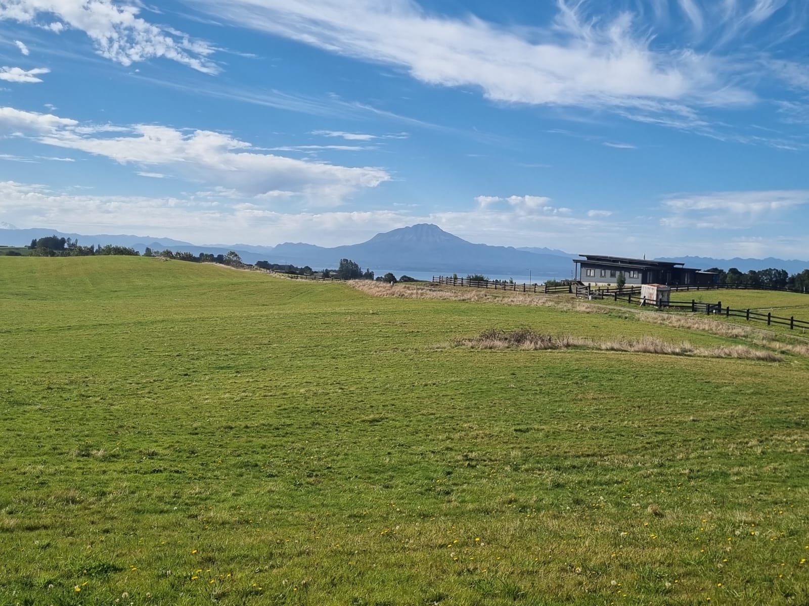 PUERTO VARAS FRUTILLAR- PARCELAS ABEDULES DEL LAGO - Imagen 9