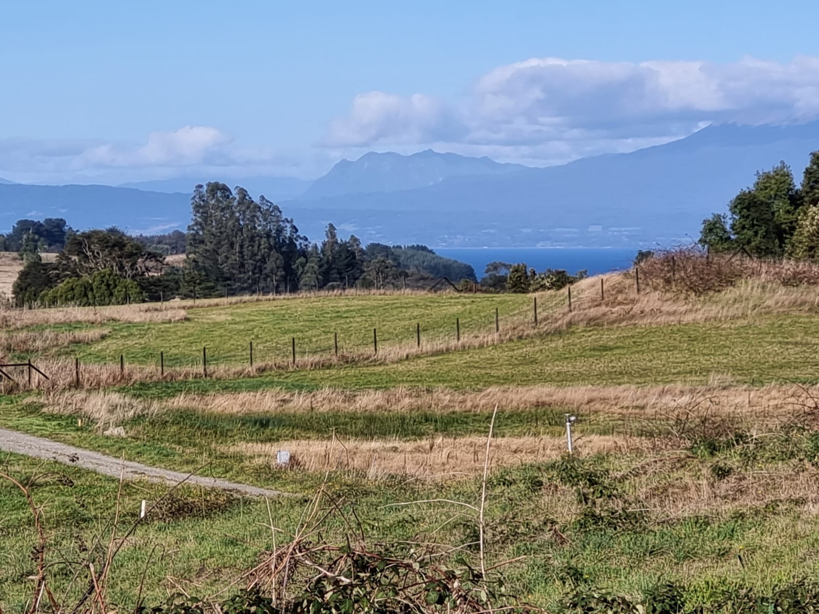PUERTO VARAS FRUTILLAR- PARCELAS ABEDULES DEL LAGO - Imagen 8