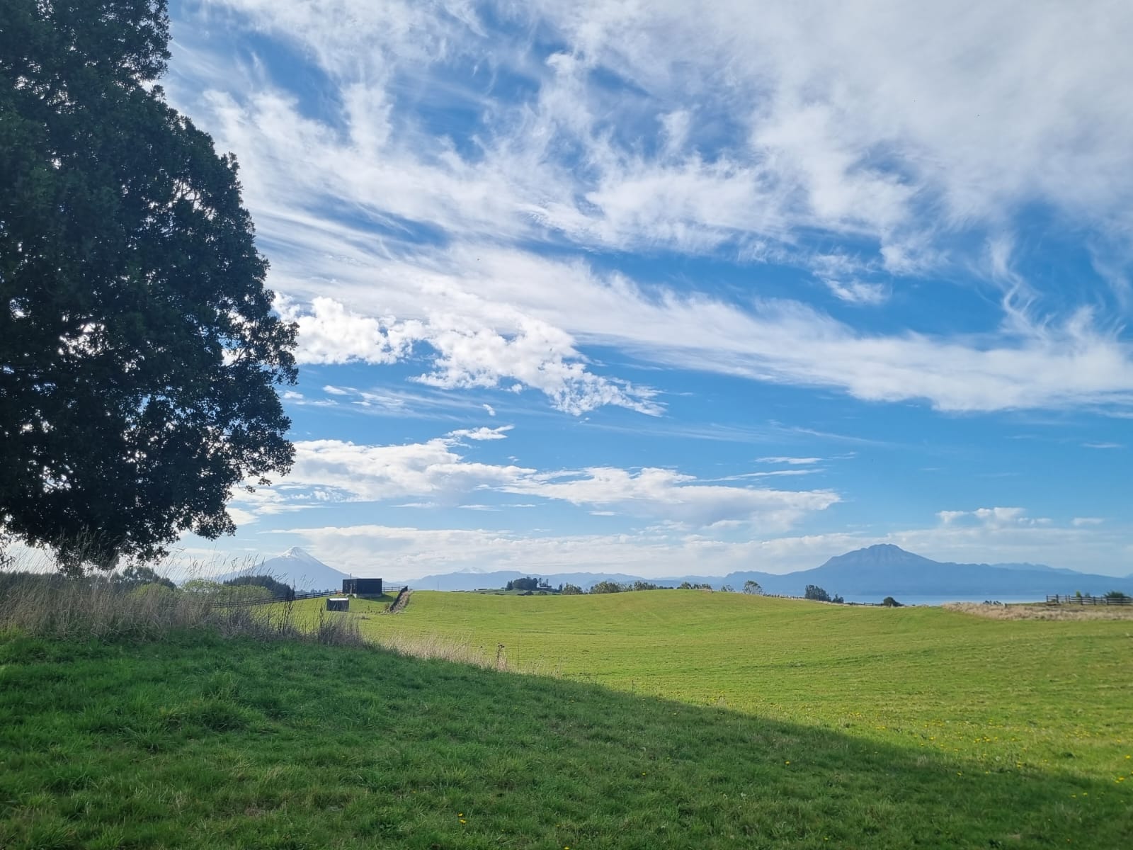 PUERTO VARAS FRUTILLAR- PARCELAS ABEDULES DEL LAGO - Imagen 5