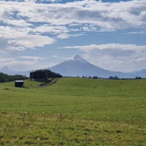 PUERTO VARAS FRUTILLAR- PARCELAS ABEDULES DEL LAGO