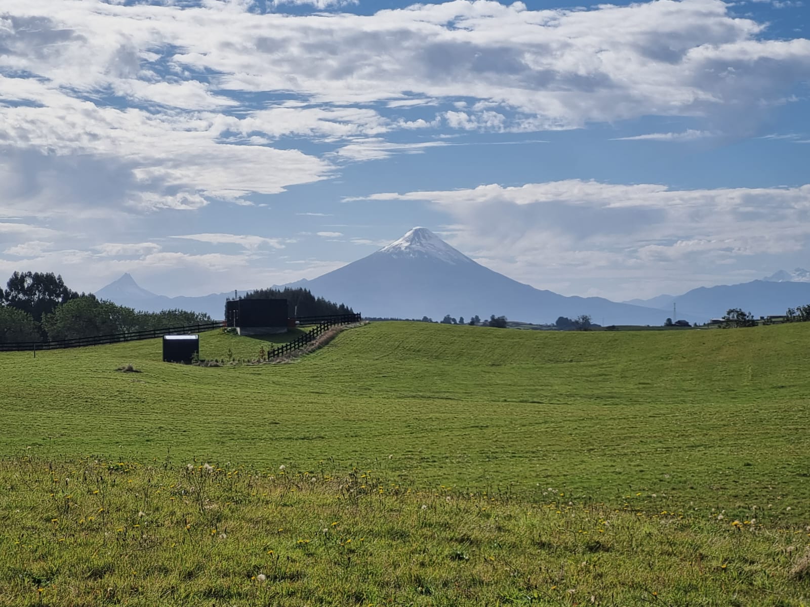 PUERTO VARAS FRUTILLAR- PARCELAS ABEDULES DEL LAGO